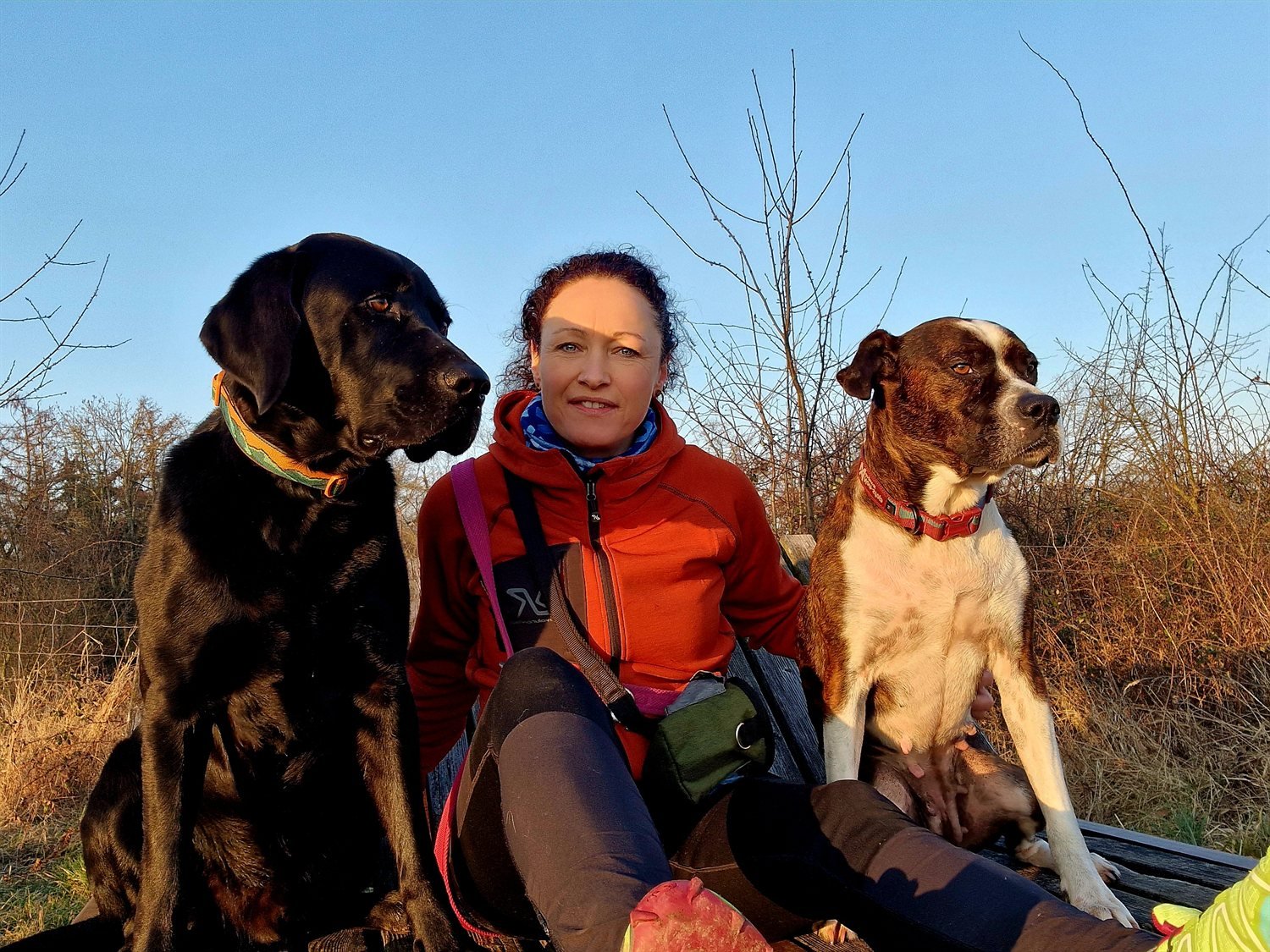 Nicole Hartwich mit ihren beiden Hunden in der Natur