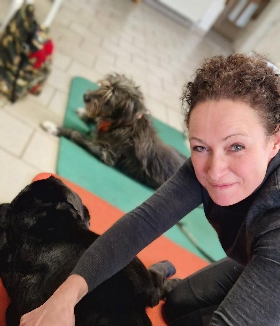 Nicole Hartwich bei der physiotherapeutischen Behandlung eines Hundes